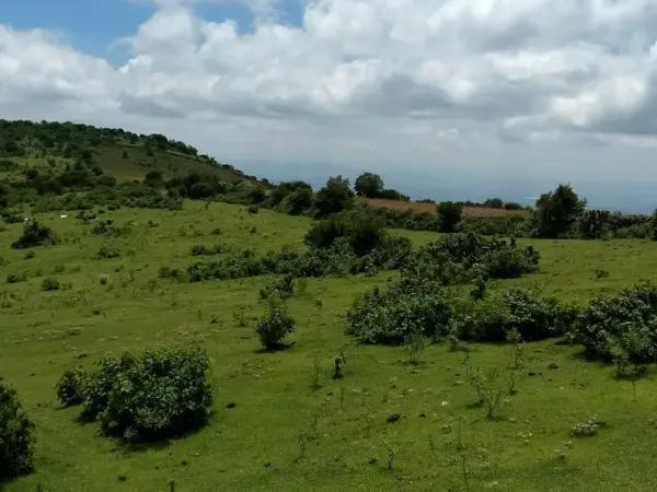 RANCHO EN VENTA EN  SANTA ROSA JAUREGUI, QUERETARO.