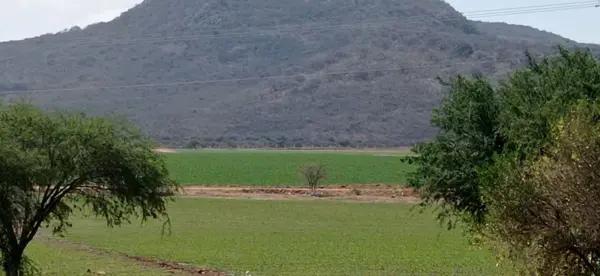 RANCHO EN VENTA ZONA TEQUISQUIAPAN, QUERÉTARO