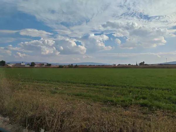 TERRENO EN VENTA PARA DESARROLLADORES EN CELAYA GUANAJUATO TERRENO EN VENTA PARA DESARROLLADORES EN CELAYA GUANAJUATO