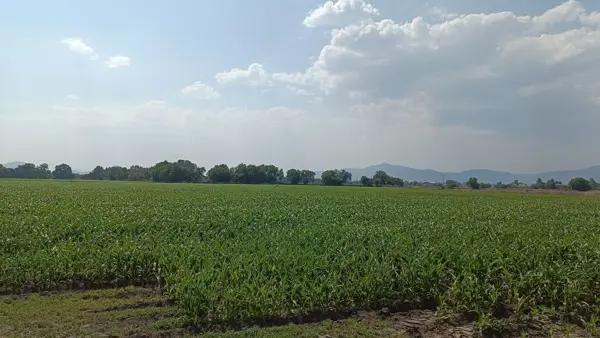 TERRENO  EN VENTA EN EL MARQUÉS QUERÉTARO