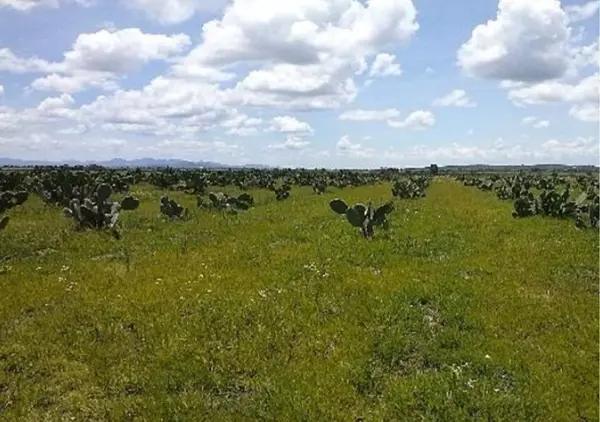 TERRENO  HABITACIONAL EN VENTA EN EL MARQUES QUERÉTARO.