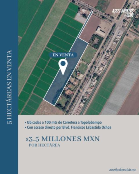 5 HECTÁREAS VENTA