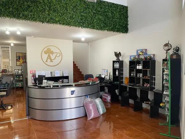 BODEGA EN VENTA CON EXCELENTE UBICACION SOBRE PASEO DE LA REFORMA.