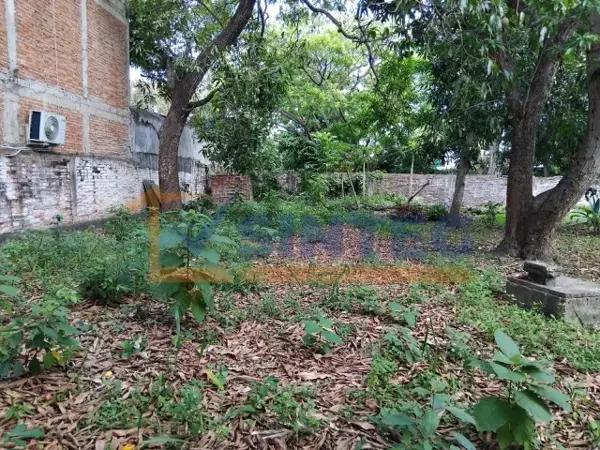 TERRENO EN VENTA DE 450M2 EN LA COL. CAZONES EN POZA RICA, VERACRUZ