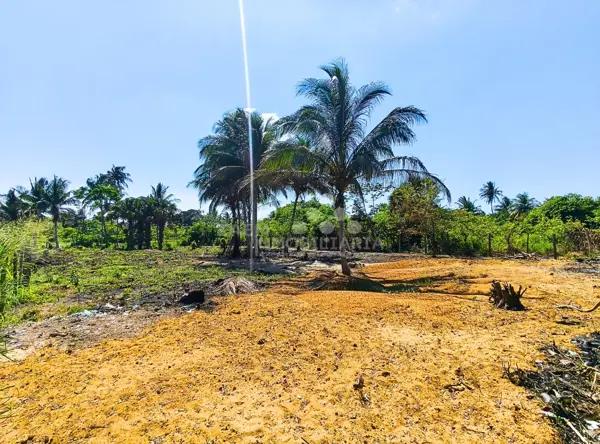 Terreno Habitacional en Venta Frente a la Playa en Vicente Guerrero, Centla