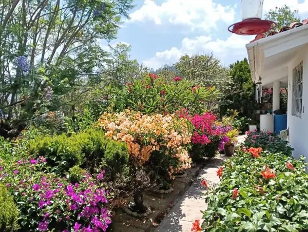 Hermosa Casa en Venta o Renta  Ixtapan de la Sal