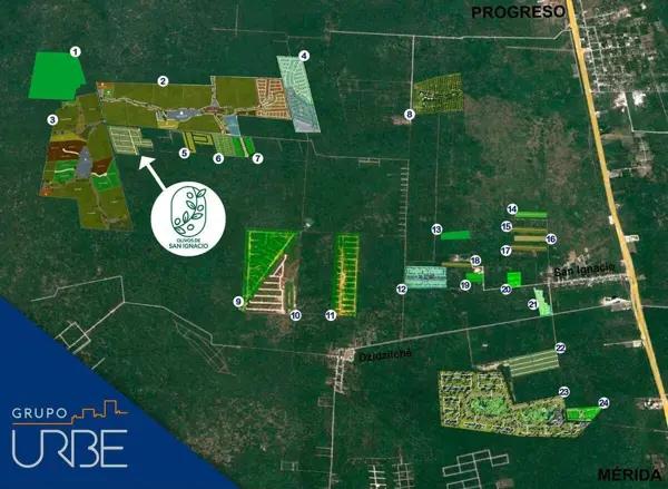 OLIVOS DE SAN IGNACIO ÚLTIMOS DISPONIBLES
