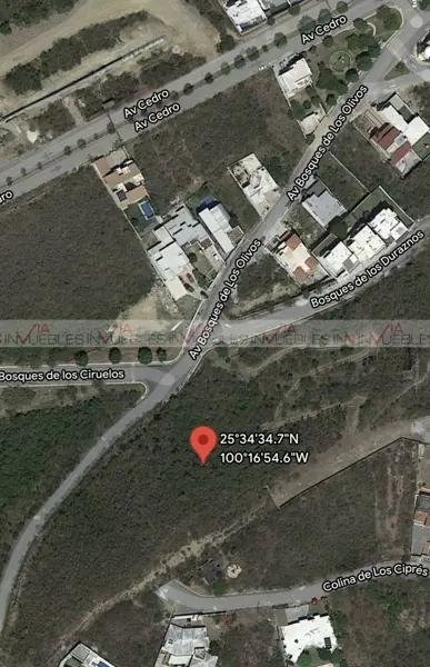 Bosques de Valle Alto