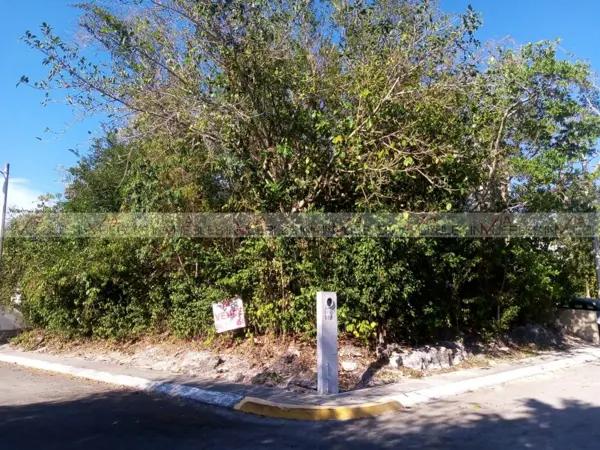 Puerto Morelos