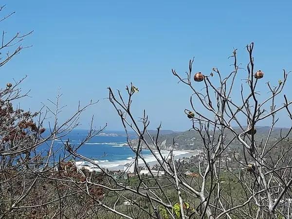 Terreno con estupenda vista al mar en Zipolite, Oax.