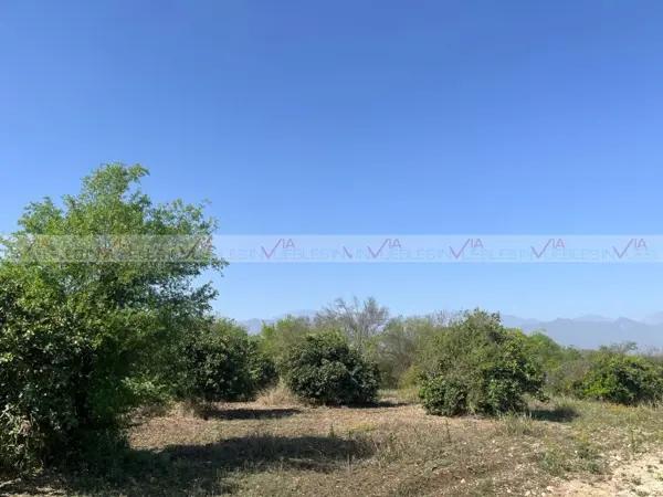 La Barranca