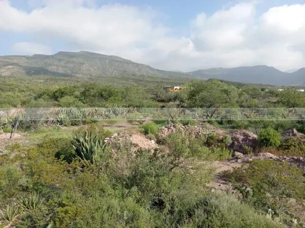 Las Huertas Las Huertas