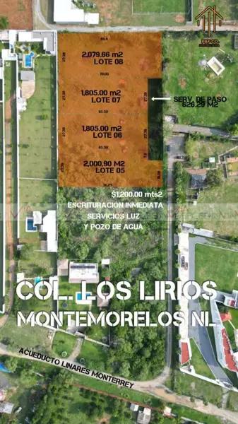Los Lirios Montemorelos