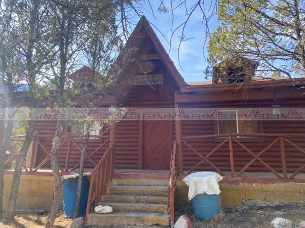 Huachichil (El Huache), Arteaga