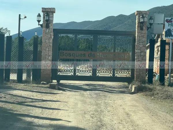 Guadalupe, Arteaga Guadalupe, Arteaga
