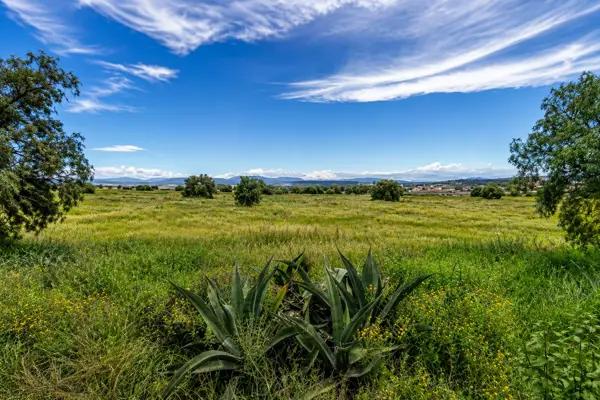 Terreno en venta con uso de suelo mixto