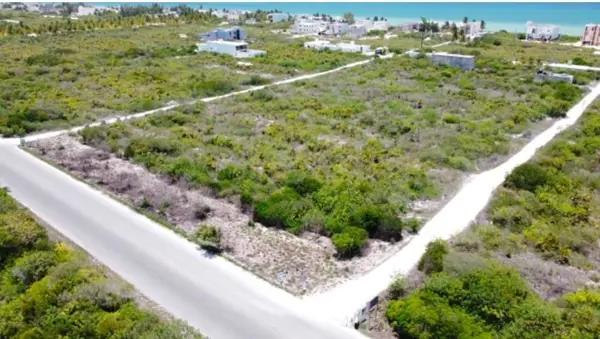 Macro lote en venta en segunda fila de la playa de Dzemul Macro lote en venta en segunda fila de la playa de Dzemul