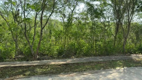 Lote residencial en venta en Cabo Norte Mérida - Licata | Proyecto aprobado