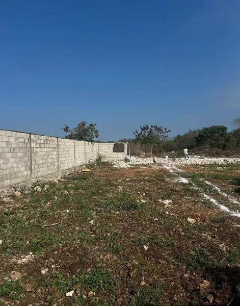 Terreno de 238.92 m2 en venta en Dzityá