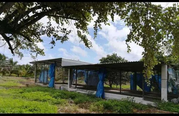 Venta de rancho de 5.5 hectáreas, en Umán Yucatán Venta de rancho de 5.5 hectáreas, en Umán Yucatán