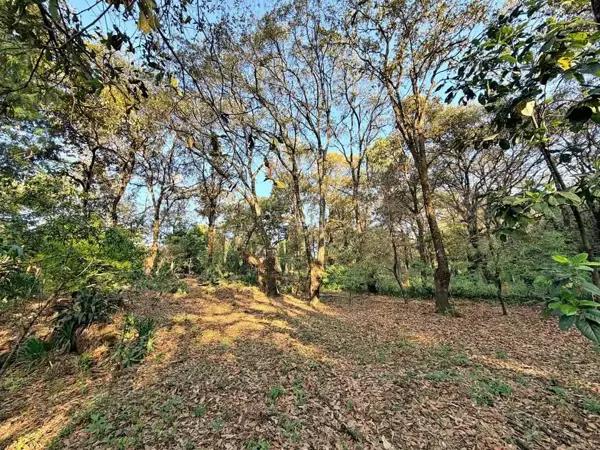 Terreno semi-plano en Tepoztlán.