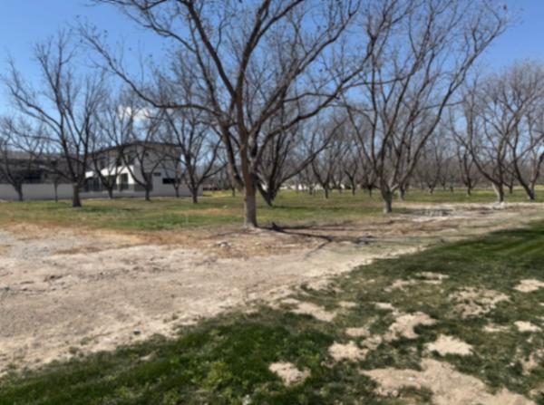 Terreno Residencial en Fraccionamiento Parvada, Parras de la Fuente, Coahuila