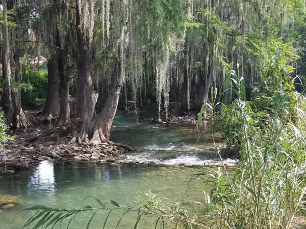 Terreno en Venta, cerca del arroyo los Sabinos campestre, plano, cerca de autopista y a Los Sabinos