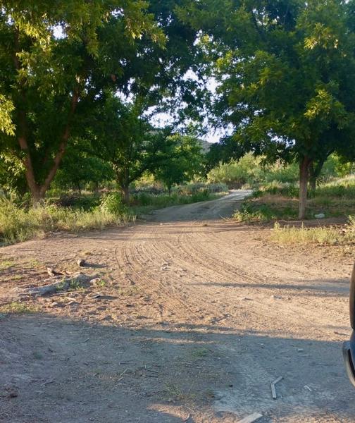 Terreno en Venta en Parras, Coahuila - Ideal para Actividades Productivas