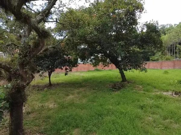 Terreno en venta en Briones