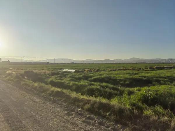 SE VENDE PARCELA BIEN UBICADA A UNOS METROS DE LA CARRETERA HACIA  TELLEZ, ZEMPOALA HGO.