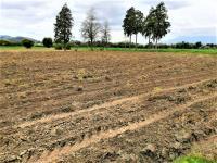 Terreno en venta en San Francisco Acatepec, San Andrés Cholula, Puebla Terreno en venta en San Francisco Acatepec, San Andrés Cholula, Puebla