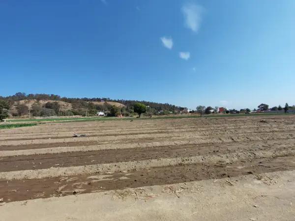 Terreno en venta en Zerezotla, San Pedro Cholula, Puebla