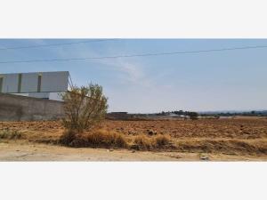 Terreno en renta en Chipilo de Francisco Javier Mina, San Gregorio Atzompa, Puebla Terreno en renta en Chipilo de Francisco Javier Mina, San Gregorio Atzompa, Puebla