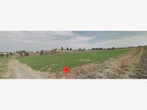 Terreno en renta en Chipilo de Francisco Javier Mina, San Gregorio Atzompa, Puebla Terreno en renta en Chipilo de Francisco Javier Mina, San Gregorio Atzompa, Puebla