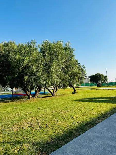 Columba Miralta $2,612,500  ¡El lugar perfecto para vivir!