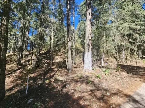 Terreno en Venta Mineral del Monte