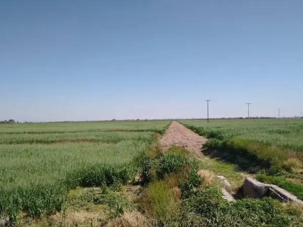 Rancho en Venta en Santa María de Arriba, Francisco I. Madero