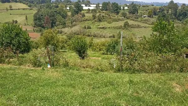 Terreno en venta, Valle de Bravo