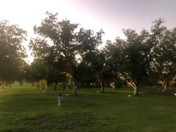 Terreno residencial en venta en Parras, Coahuila - Excelente ubicación en la zona PARVADA