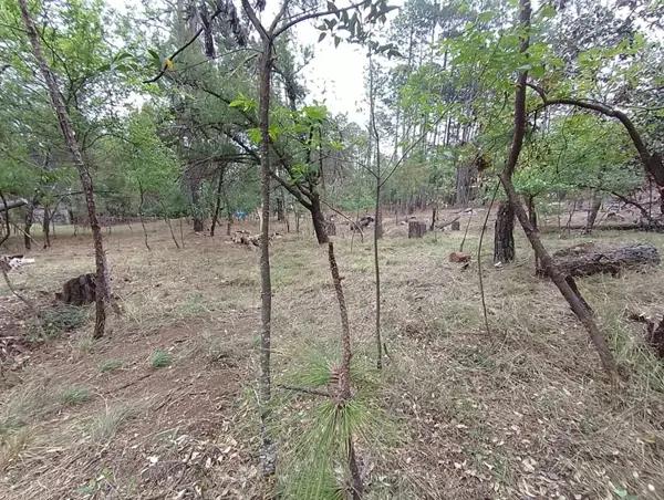 Terreno en Venta Quinta Andrea Huasca