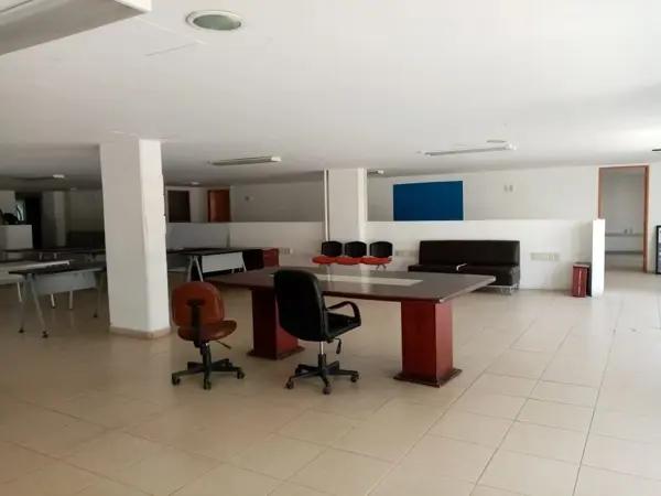 OFICINA EN RENTA – HIPÓDROMO CONDESA, CDMX