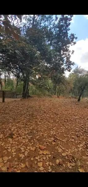 Bello Terreno en Venta, Fracc. Campestre Rancho San Francisco; Huasca de Ocampo Hidalgo.