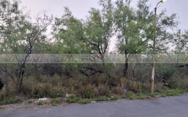 Cienega de Flores