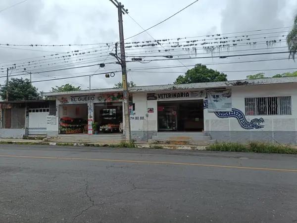 Propiedad Comercial en Venta con Amplio Terreno en Fortín de las Flores