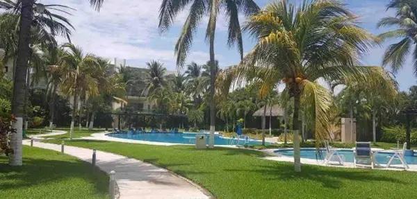 OPORTUNIDAD DEPARTAMENTO EN VENTA EN PACIFICO DIAMANTE ACAPULCO PLAYA DIAMANTE OPORTUNIDAD DEPARTAMENTO EN VENTA EN PACIFICO DIAMANTE ACAPULCO PLAYA DIAMANTE