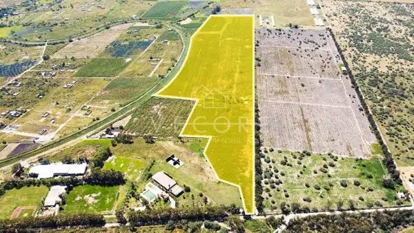 TERRENO EN VENTA, CARRETERA GUADALAJARA, CHAPALA, TLAJOMULCO DE ZÚÑIGA