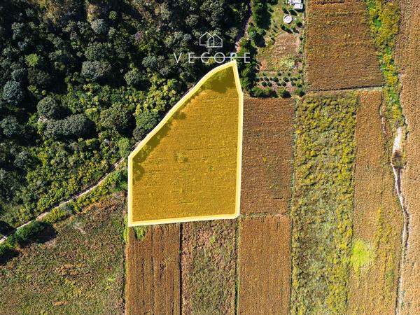 TERRENO EN VENTA EN NEXTIPAC, ZAPOPAN