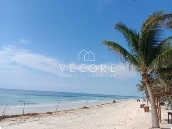 TERRENO EN VENTA EN TULUM, QUINTANA ROO TERRENO EN VENTA EN TULUM, QUINTANA ROO