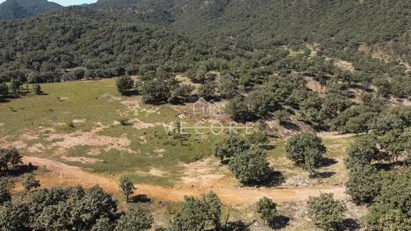 TERRENO EN VENTA, SANTA LUCIA, ZAPOPAN