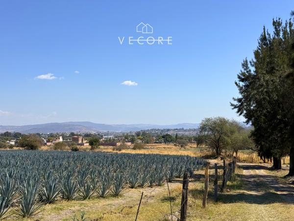 TERRENO EN VENTA, PUENTE GRANDE, JALISCO